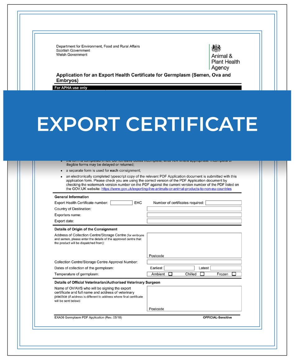 Export certificate – Next Day Apostille Service